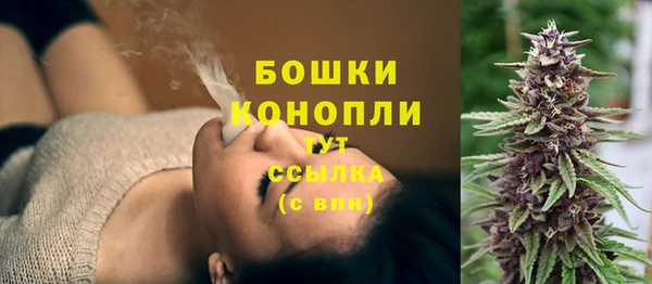 PSILOCYBIN Богданович