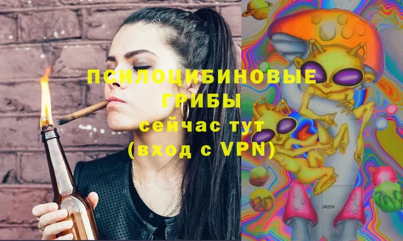 Псилоцибиновые грибы Psilocybe  Прокопьевск 