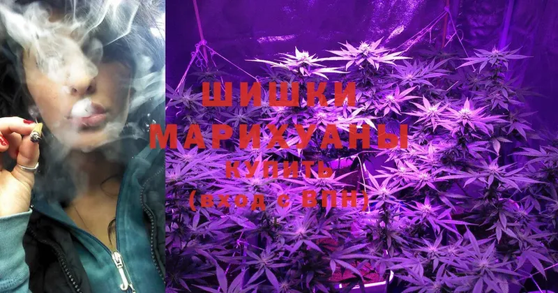 Конопля White Widow  магазин продажи наркотиков  mega маркетплейс  Прокопьевск 